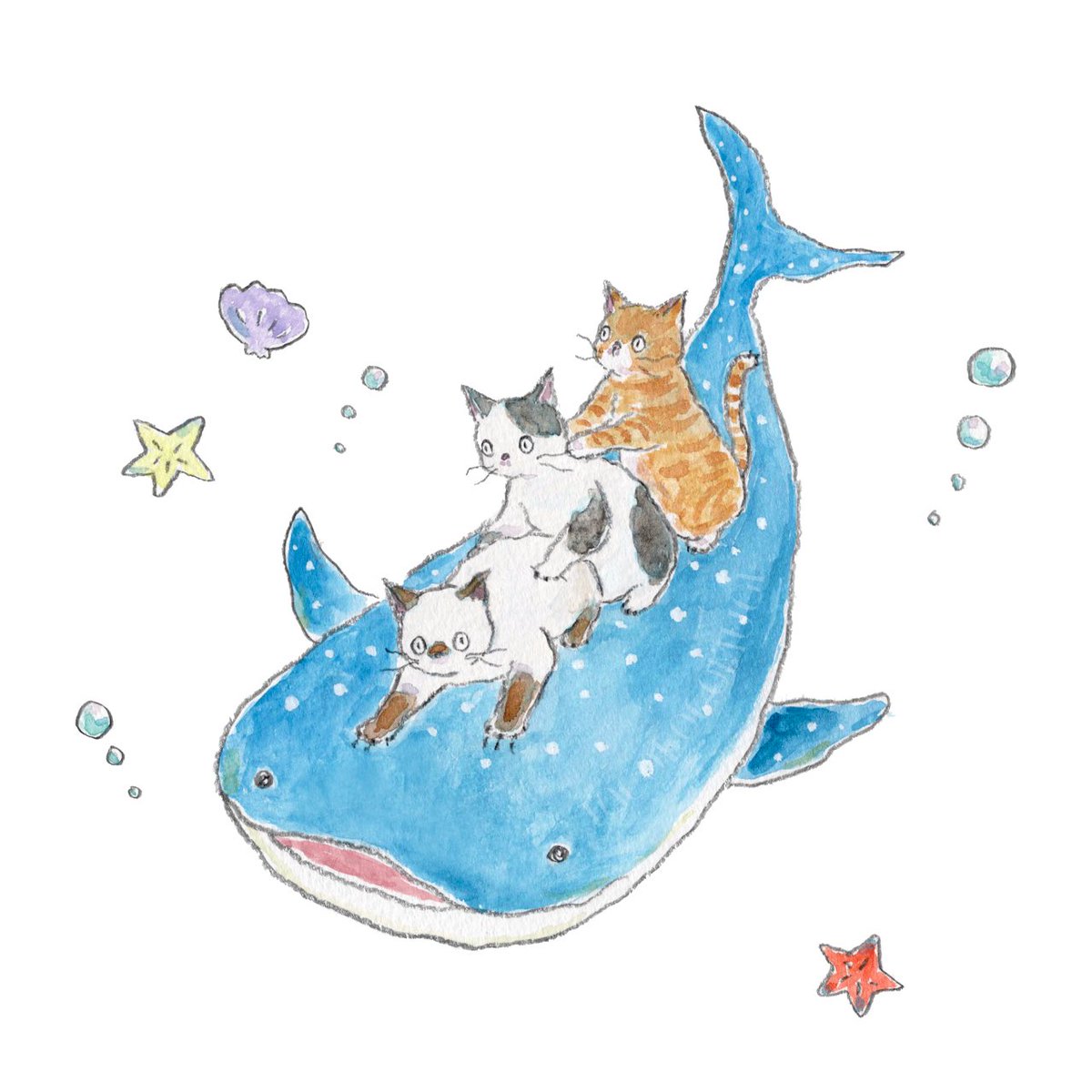 tocorocomugi's tweet photo. キミのコバンザメになりたいの.ᐟ🦈 https://t.co/7GlKp9Uvjl