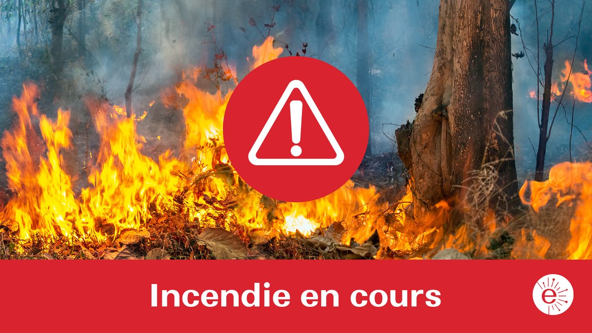 CDEssonne's tweet photo. 🔥 Incendie en cours à Marcoussis

🚒 En raison d’un incendie de ballots de paille sur une propriété riveraine, la circulation sur les RD 446 et RD 3 est actuellement perturbée pour une durée indéterminée

⚠️ Merci d'éviter le secteur afin de faciliter le passage des secours https://t.co/tOVh6KS7IT