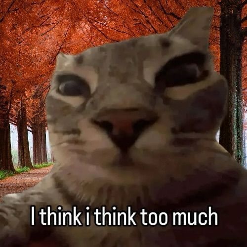 catofsouls tweet picture