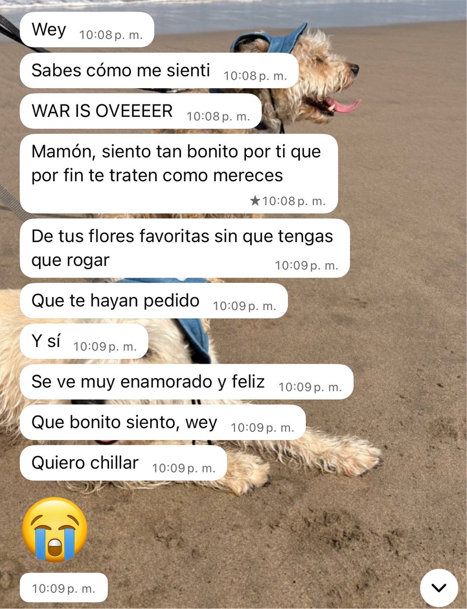 _danoonino's tweet photo. Mi mejor amiga la más emocionada https://t.co/Qu72GHA3Of