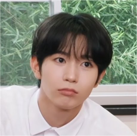 토토 tweet media