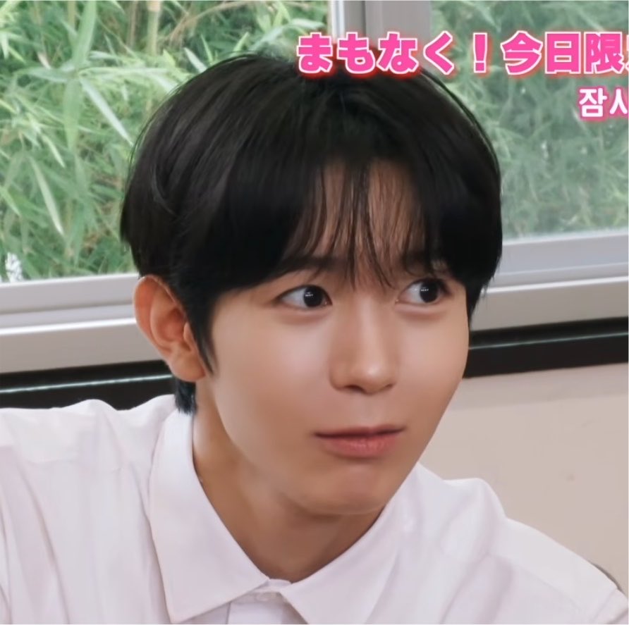 토토 tweet media