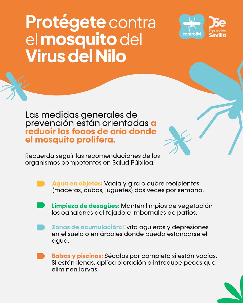 DIPUSEVI's tweet photo. 🦟 La prevención del Virus del Nilo Occidental empieza en nuestras acciones diarias.

A través de la web Control M de la Diputación de Sevilla, recordamos la importancia de adoptar hábitos sencillos pero eficaces para evitar la proliferación de mosquitos y proteger la salud de todos.

Eliminar los focos de agua estancada y protegernos individualmente son los pilares fundamentales para minimizar el riesgo en nuestros municipios.

👉 Consulta las medidas completas y toda la información actualizada en el portal oficial: https://t.co/etLMNdJFNS