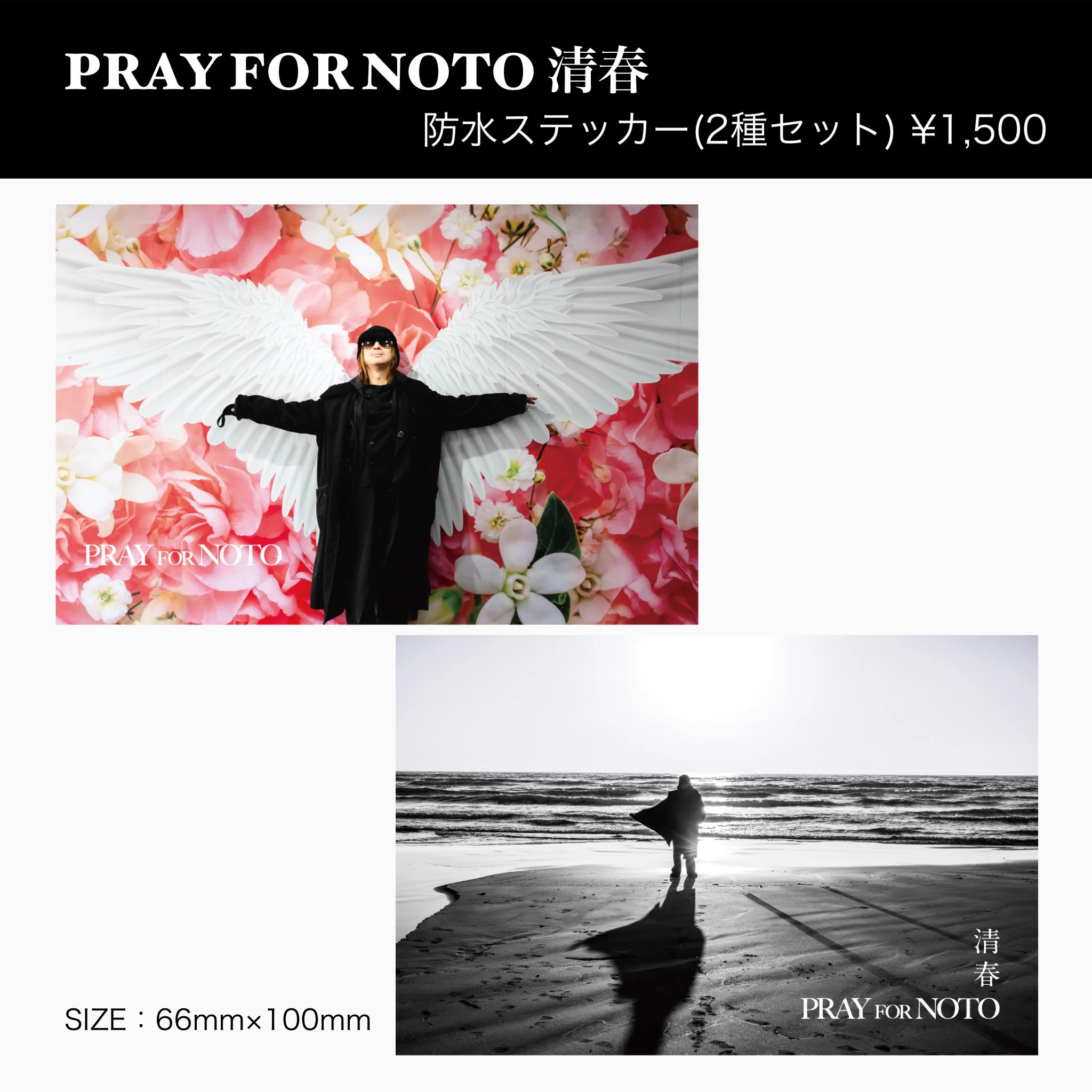 石井麻木 on X: 