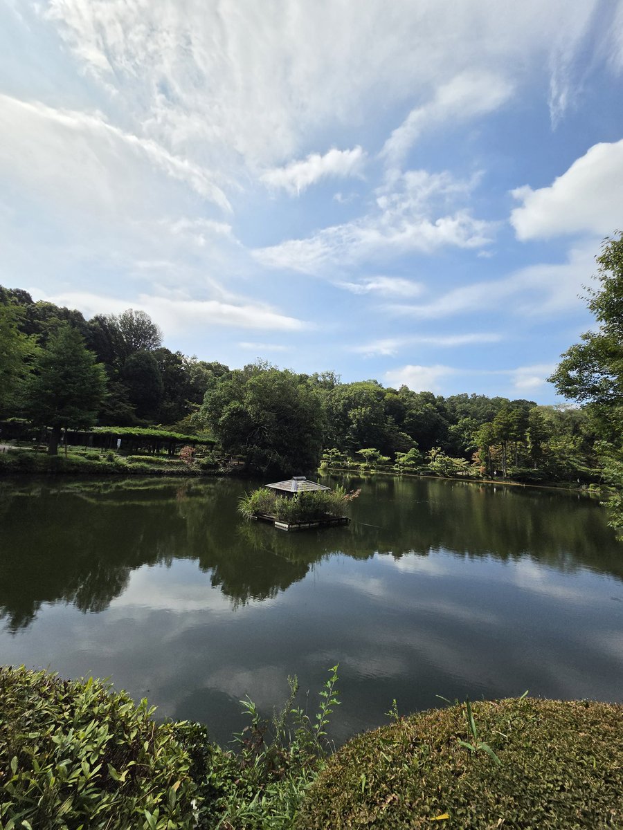 0101_1967's tweet photo. 薬師池公園 https://t.co/uzvHWffPmb