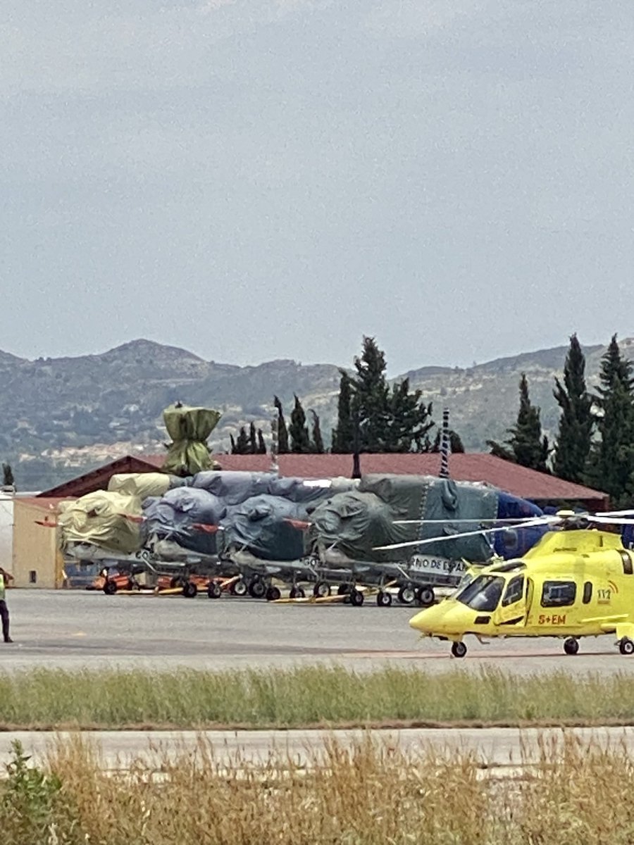 Guillermo Rocafort tweet media