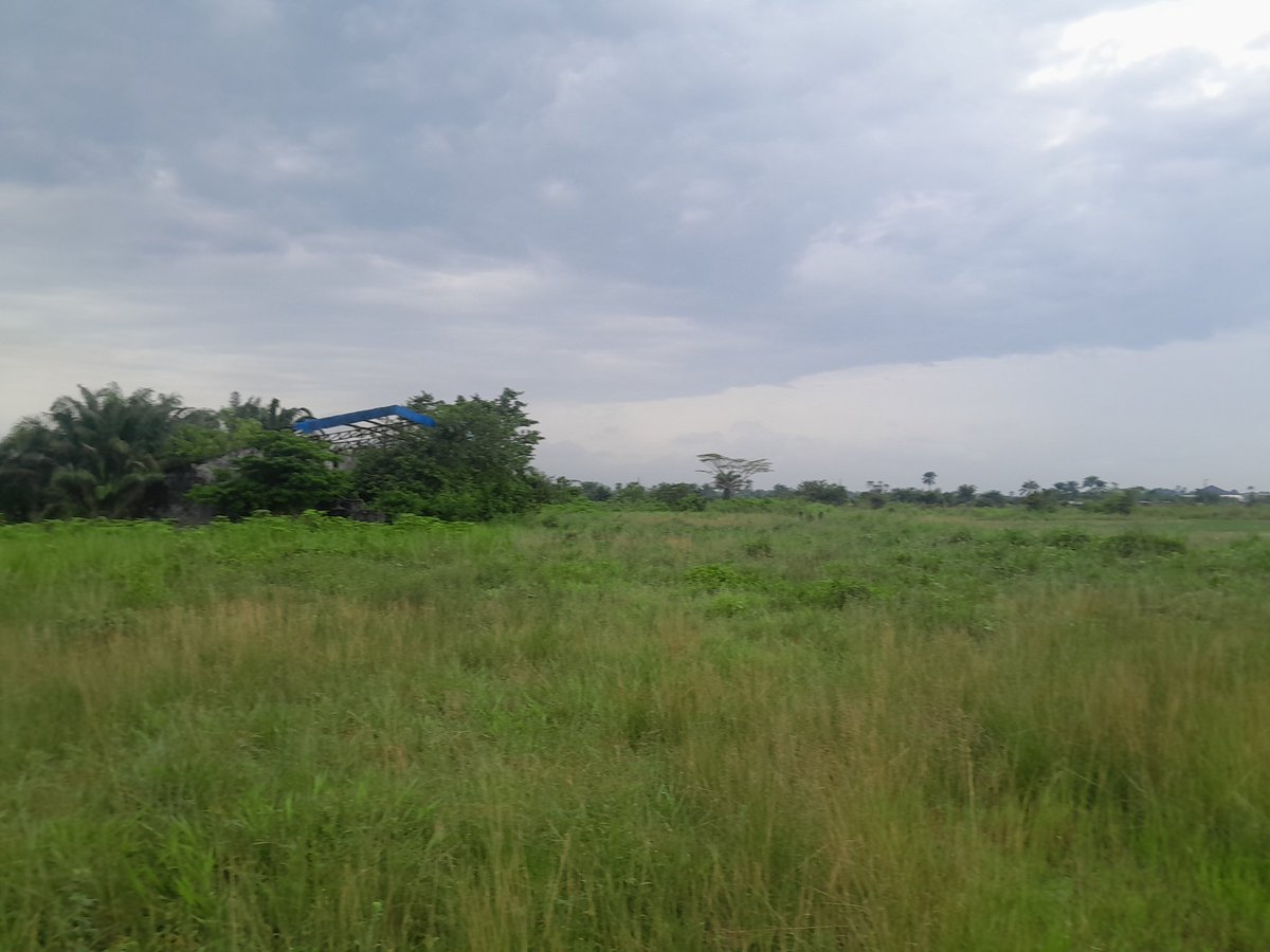 NigeriaStories's tweet photo. Tracka Nigeria reveals Current state of the abandoned mini stadium project in Orerokpe, Okpe, Delta State, after ₦152 million was disbursed and ₦150 million paid to the contractor. Yet, five years later, it remains a forest and nothing has been done. https://t.co/JvJwU5uwOe