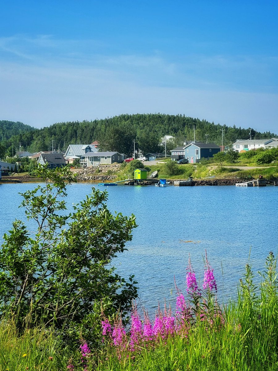 GrayMarker99's tweet photo. A very fine morning here in Robert’s Arm, NL. 

#ShareYourWeather https://t.co/FyKpvOxXGj