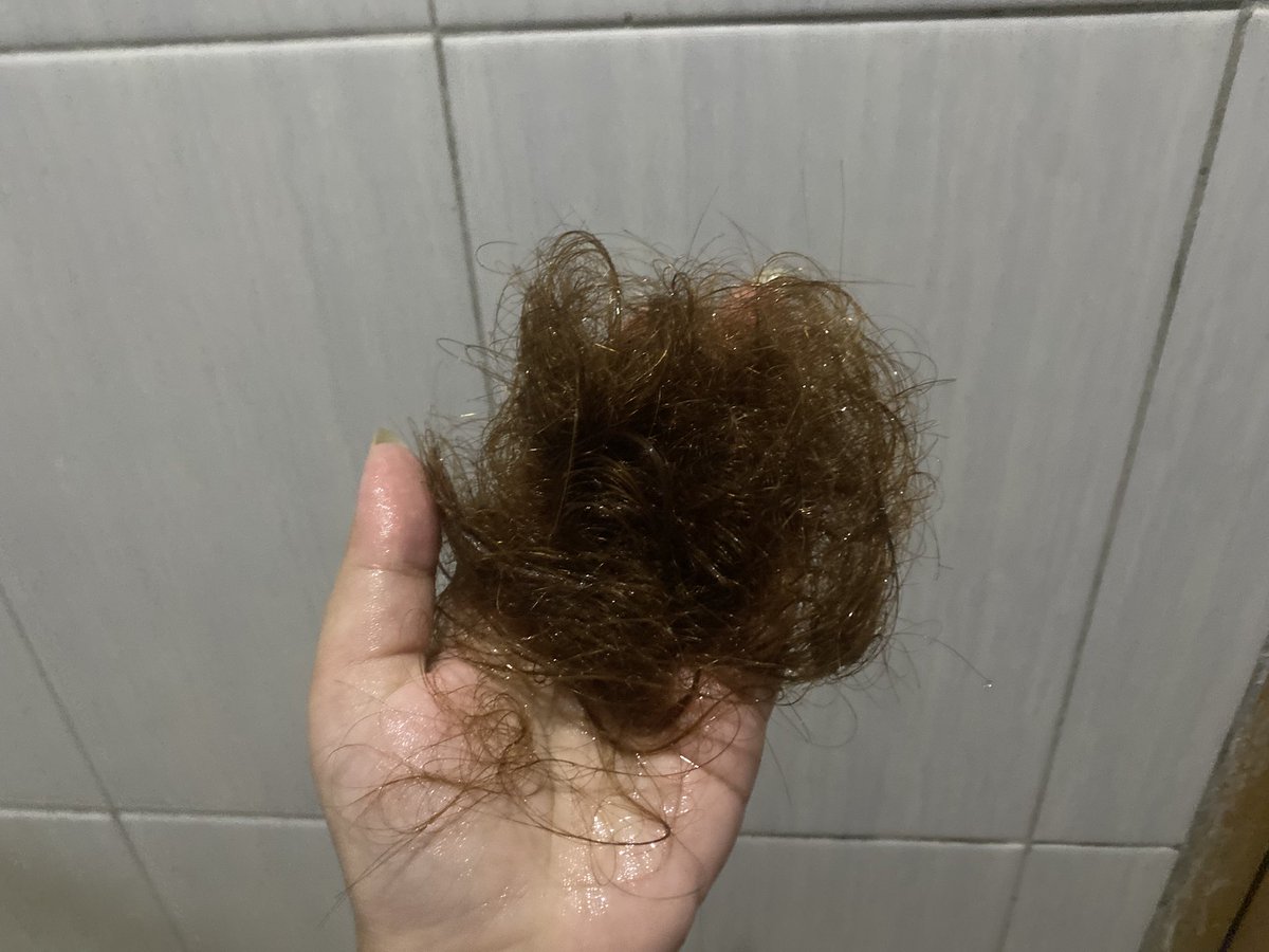 kepanikan's tweet photo. bukti kehidupan gonjang-ganjing bak-bik-buk beberapa bulan ini (rambut sebanyak ini hasil sekali keramas doang btw) https://t.co/qlOHE1JwUI