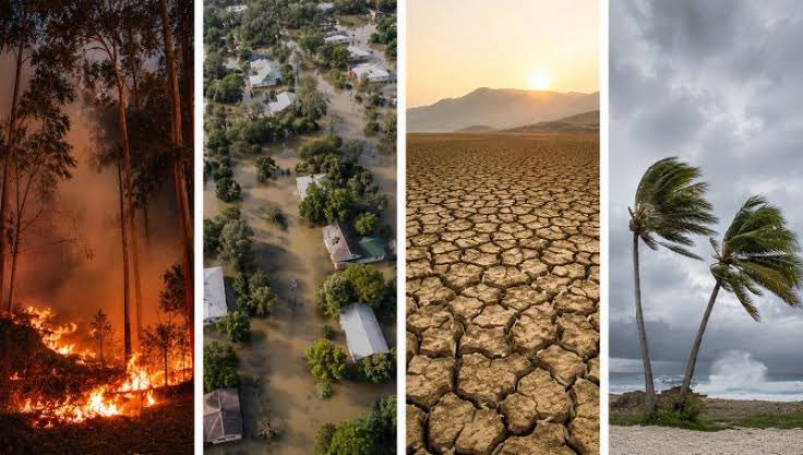 Eco365SI's tweet photo. We must stop burying our heads in the sand in denial like ostriches.

Climate change will not wait for your validation 
It will not wait for politics.
It will not wait for another election.
It will not wait for another budget cycle.
The time to act is now.
#ClimateActionNow https://t.co/3zyukgnjG0