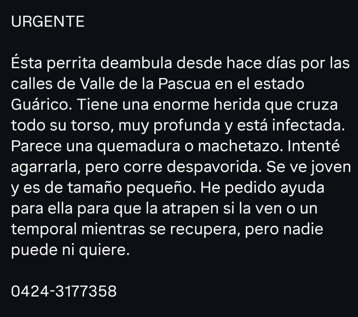 Ma_Elisa_G's tweet photo. 🆘️🚨🆘️VALLE DE LA PASCUA/GUARICO 🇻🇪, AYUDEN A ENCONTRAR A ÉSTA PERRITA ANTES DE QUE SEA TARDE, LA ESTÁN BUSCANDO OARA CURARLA, SI LA VEN RESGURDEN Y LLAMEN 04243177358. DIFUNDIR @PerroUsuario @albertoestiburo @YeziSeijas @GuaraCuchaFE @Sharolozano08 @gracon27 @joseanchustegui https://t.co/NCiaIhuK1H