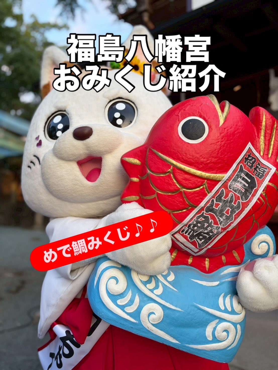 福島八幡宮シロちゃん【公式】 в X: „🎯福島八幡宮おみくじ紹介🎯 透明