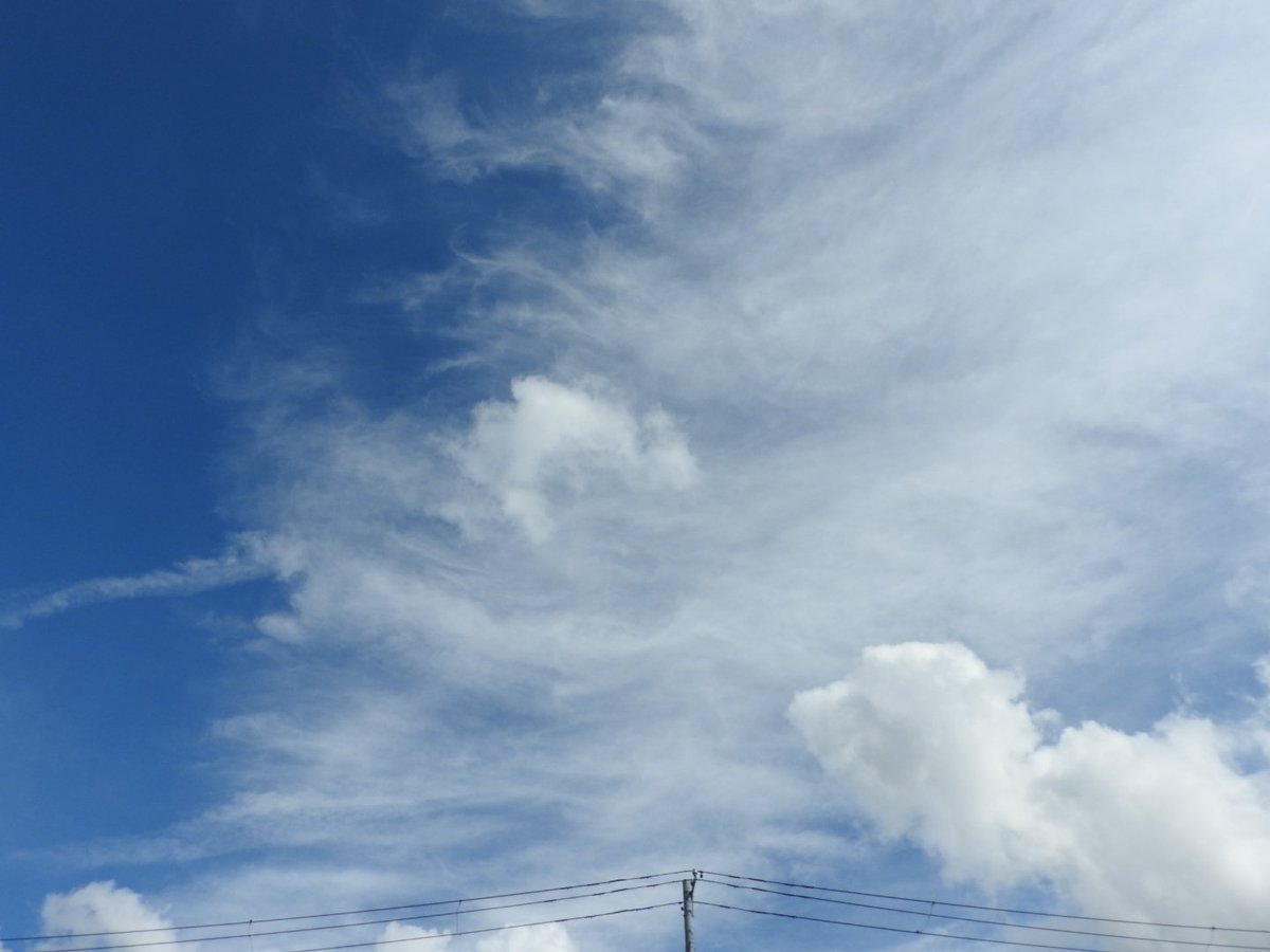 kumomist's tweet photo. 午後のハロと、雲、海。
久しぶりの青空でした✨
今週もよろしくお願いします(^-^)/ https://t.co/klbQZxVErH