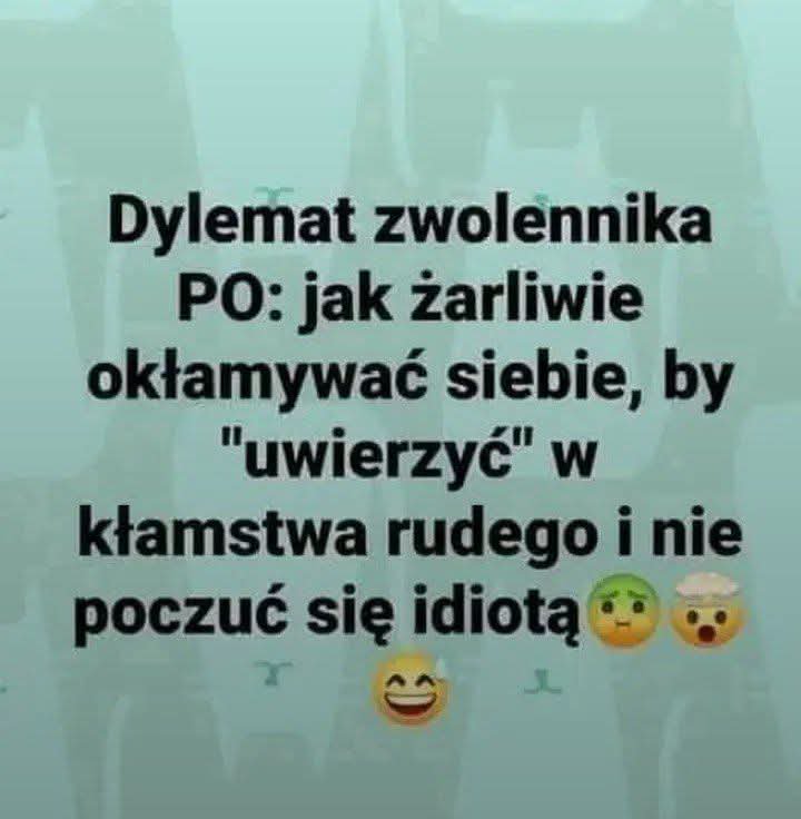 PiotrekzLublina's tweet photo. Paliwo w górę a tym czasem w internetach burza mózgów 😉🤭😄😄😄 https://t.co/Z3XILRH6T6