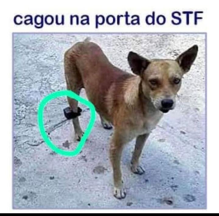 carlydamasceno2's tweet photo. Ah misera 🤣🤣🤣🤣🤣 https://t.co/djnFe3e1Z1