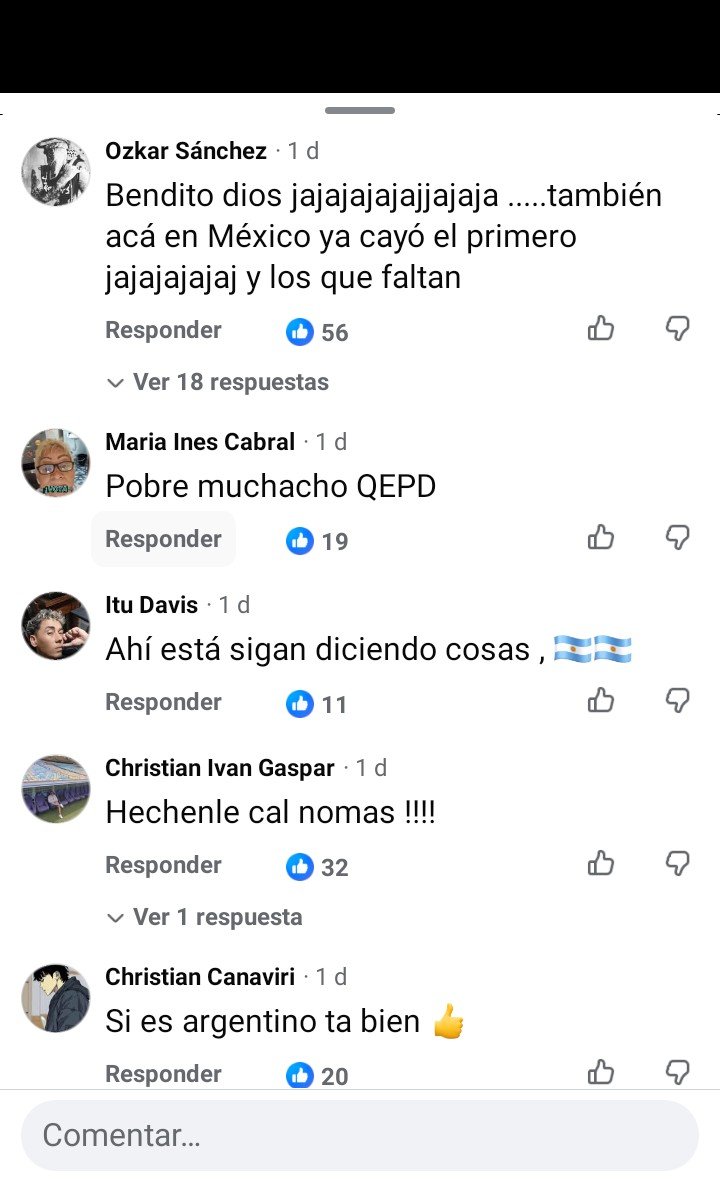Oly 🇦🇷🌱 tweet media