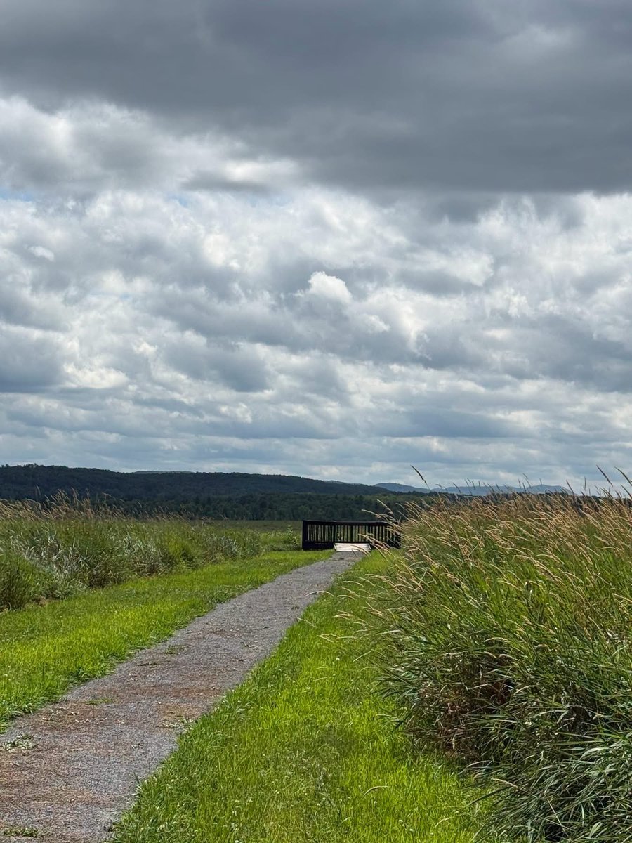 alex_fasulo's tweet photo. To absolutely no one's surprise, the New York Public Service Commission (PSC) ruled last week that "no further review is required" for Boralex to transfer all of its solar leases to Brookfield Asset Management.

Four solar complexes, including Fort Edward Solar, totaling over 13,100 acres of Upstate NY farmland, grassland habitat, and state-endangered species, will transfer to an even larger Canadian company with ties to its current prime minister @MarkJCarney.

Boralex went before the PSC to ask that 1) these leases be transferred without any further review and 2) that the PSC do it quickly.

As happens 100% of the time with the bureaucratic bodies in Albany, NY, the PSC did exactly as these foreign corporations asked and dismissed the legal comments I submitted earlier this month. We also requested that the PSC notify municipalities of this transfer - they declined.

The PSC concluded the transfer:
-would not create horizontal market power
-would not create vertical market power
-would not harm captive utility ratepayers

All seven PSC Commissioners "voted" on this ruling. I put voting in quotations because they were ordered to bend the knee to the same foreign corporations that lobbied for the 2019 Climate Act.

These seven PSC Commissioners are the same people who approve rate hikes on your electric bills.

The PSC Chair and name signed to this ruling: Rory Christian. Are your familiar with the people who are impacting your lives more than your own state representatives?

PSC Commissioners are appointed by @KathyHochul.