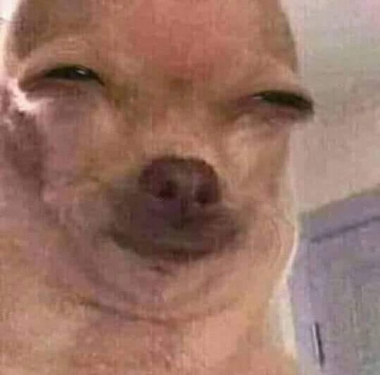 AktionT4Enjoyer's tweet photo. @Gallic_Gr0yp @Helios_XIII C'est pas toi qui tartine des garages à teubes sur pattes et les force à avorter après ?
Limite pour un catholique https://t.co/FOEnJKunCY