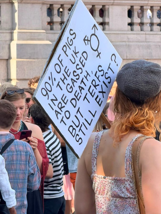 CrunchAlias's tweet photo. Women: "We don't want to undress in front of men."
The men: "You should be gassed to death, like pigs."
Disgusting cowards: "Both sides are toxic." https://t.co/uB6G3AaRXT