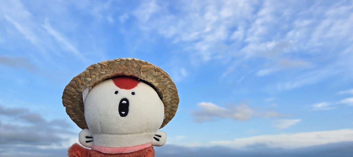 rinav0611hathiv's tweet photo. 人魚と夏空👒 https://t.co/9UKIW4LUA4