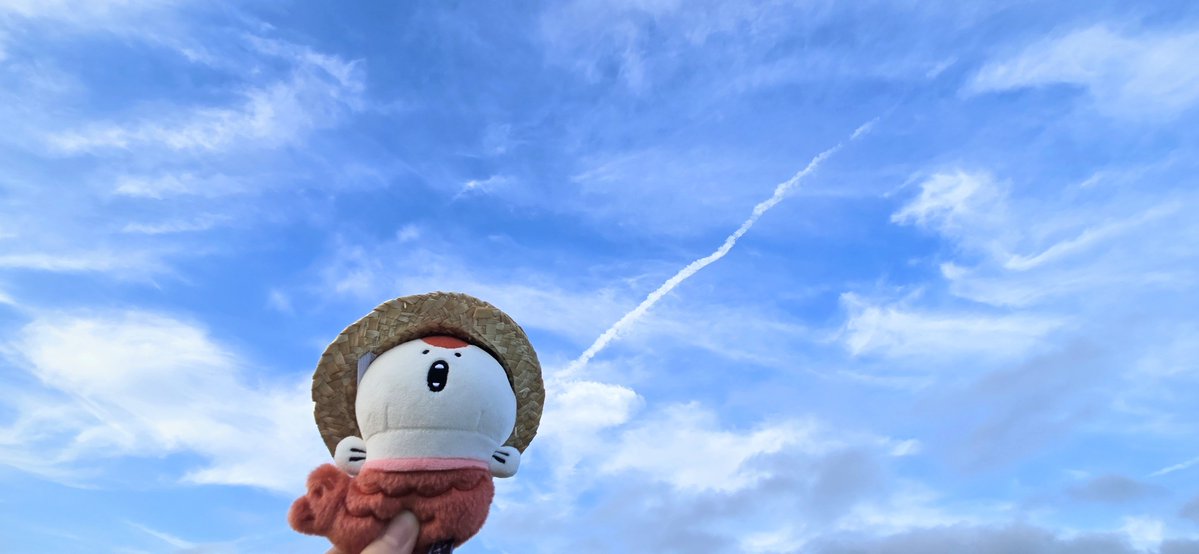 rinav0611hathiv's tweet photo. 人魚と夏空👒 https://t.co/9UKIW4LUA4