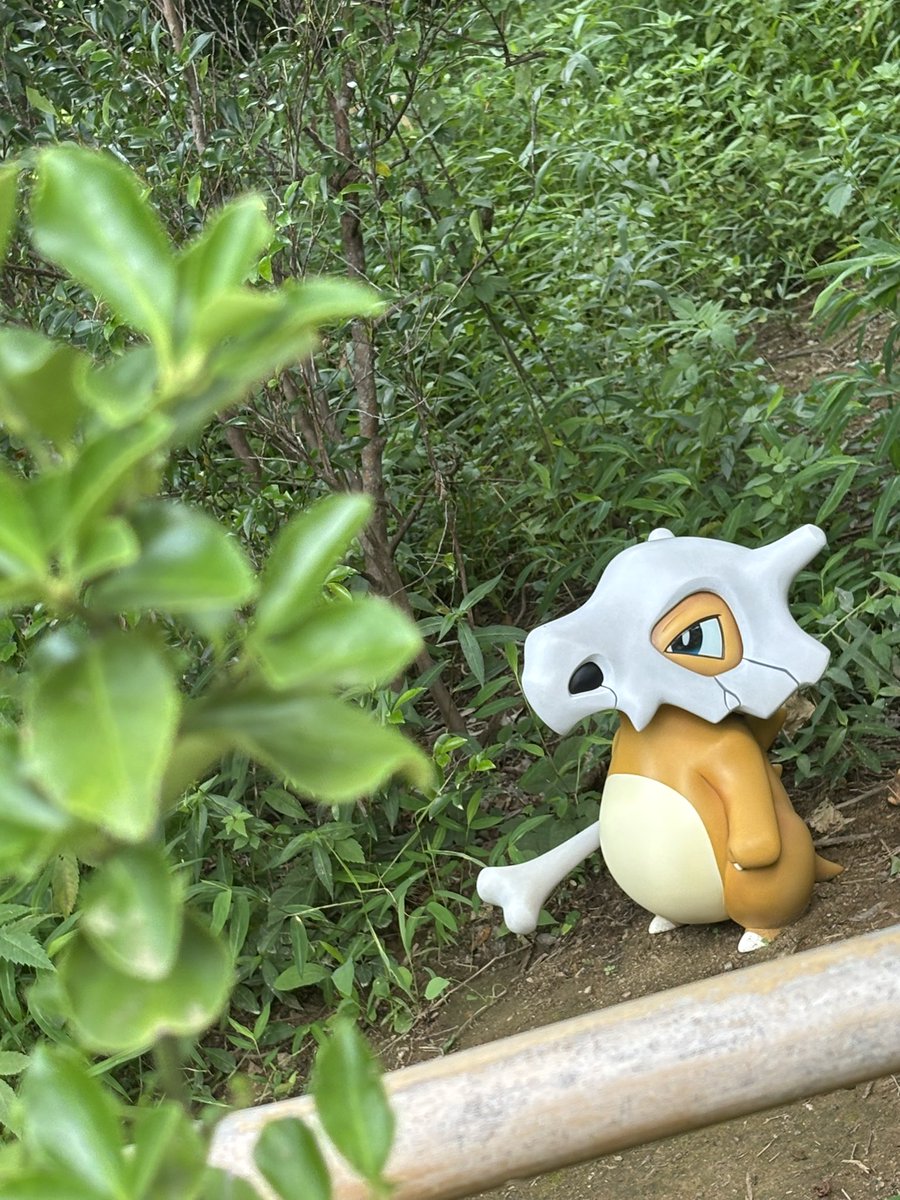 panana874's tweet photo. ポケパーク旅行たのしかったです https://t.co/CrtxbB1bc6