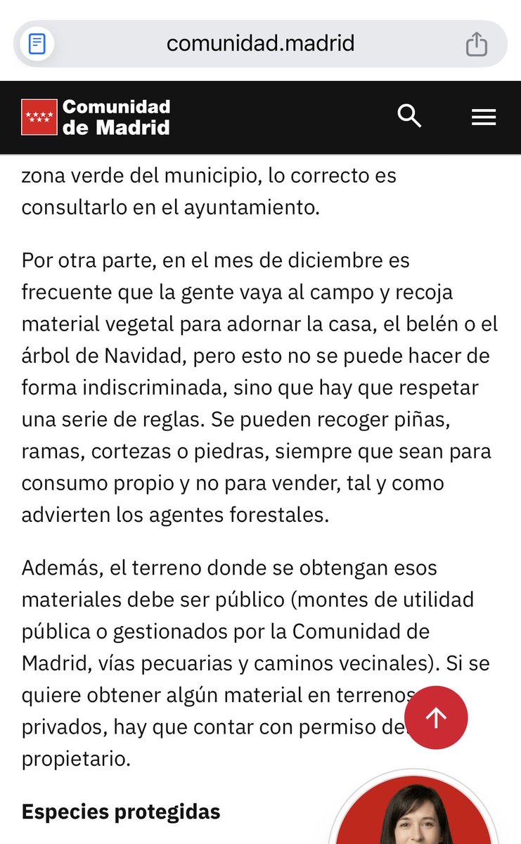 darta_tri's tweet photo. @todosalostoros Hola, por qué dices que no se pueden recoger piñas? https://t.co/Rbpt8ZfgKm https://t.co/SVOdWDVOMN