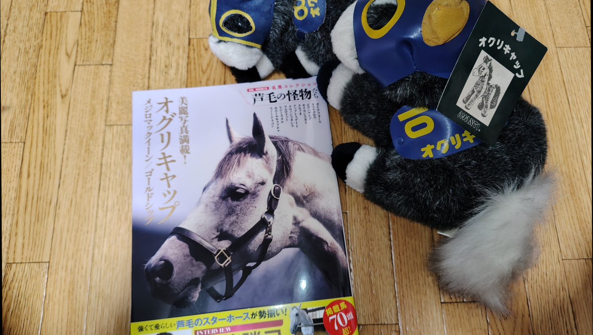 ラ*方様 レア 当時物 AVANTI 競走馬 ぬいぐるみ オグリキャップ メンコ