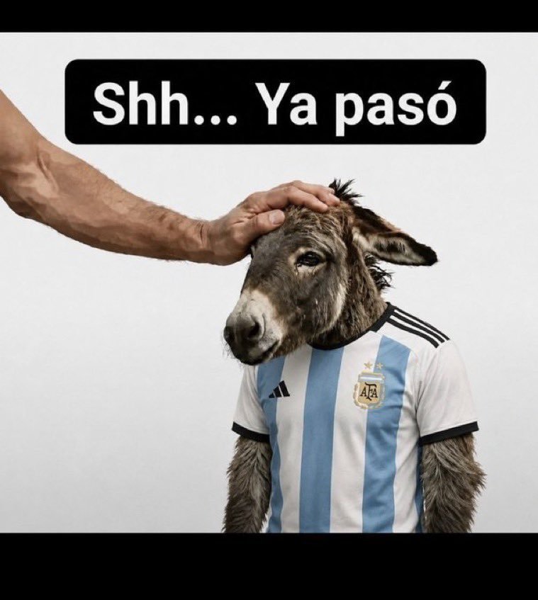 Javier Tuy tweet media