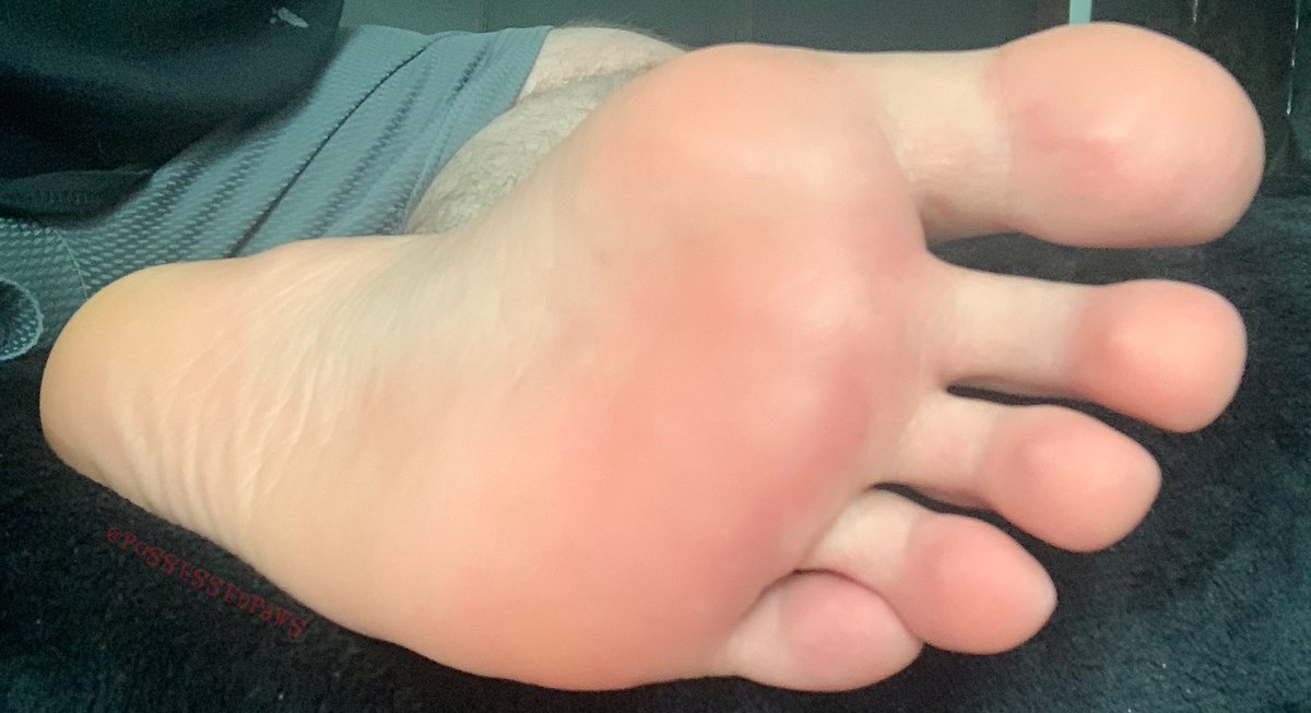PossessedPaws's tweet photo. Start your week off right by dragging your tongue across my sole. 🦶🏻👅 https://t.co/WIauumJdQu