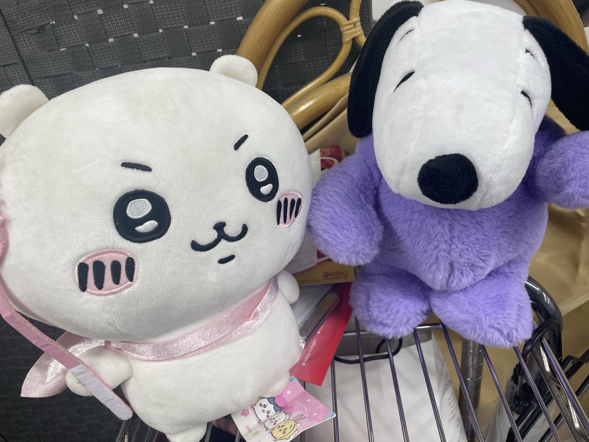 takuton123's tweet photo. 可愛いやろ https://t.co/TiLVwRh7SH