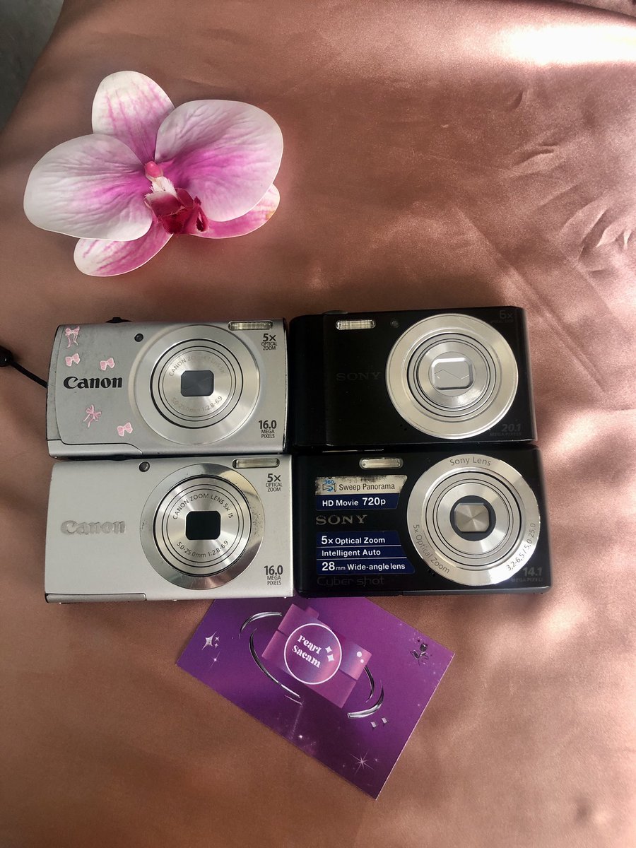 Yara wts digicam🌸📸 tweet media