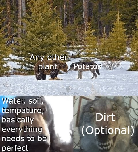 Shitpost_2048 tweet picture