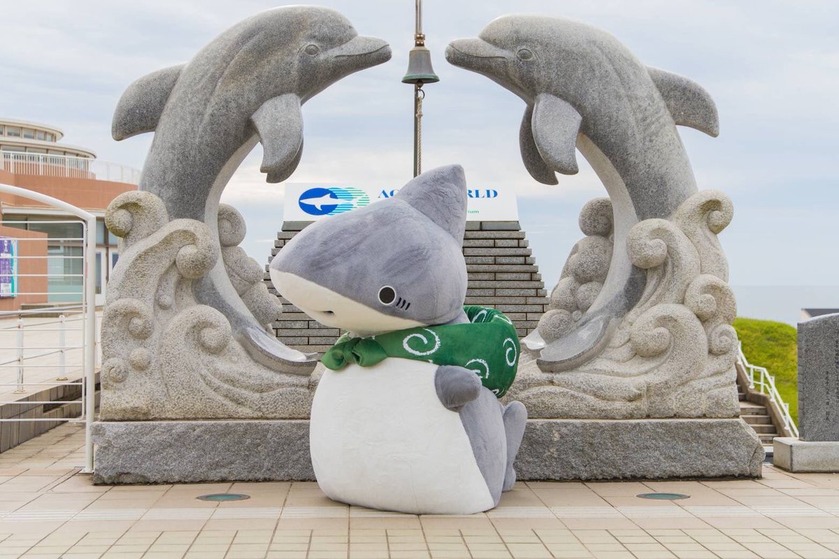Schumpeter011's tweet photo. #おでかけ子ザメ展 、
個人的に一番ビックリしたのがこちらの「立体物監修用の手作り紙粘土モデル」
展示物として非常に面白かったのはもちろん、
あの初期型の着ぐるm…等身大子ザメちゃんって結構忠実に特徴を捉えていたんだな、という改めての発見
（やっぱりこっちはこっちで可愛い） https://t.co/FgbrTBFJq6