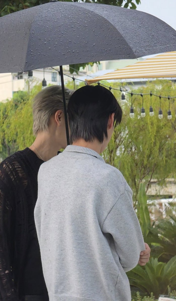 TheCrowClubTH's tweet photo. ☔️ ร่มคันนี้มีลักษณะแคบ และกันฝนไม่ให้เธอเปียกครับ 🫪🌧

#แวนรักคุณ #VannRakkhun 
The Crow Club Q1 
#อีกาสมาคมเปิดกล้อง https://t.co/MfWbOGSAlF