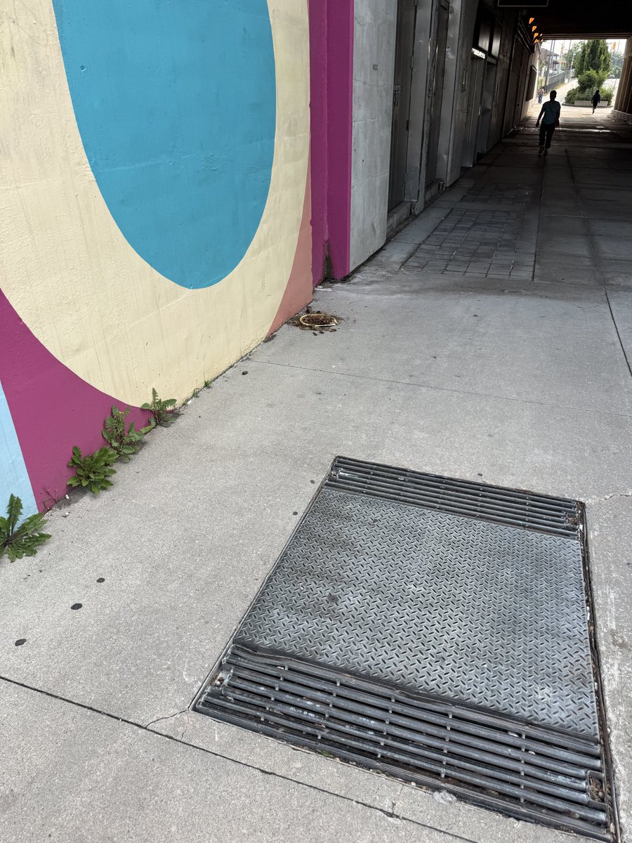 GoldontheC's tweet photo. @TTChelps does the TTC manage clean up around the station?  a large amount of food just has been dumped outside of Yorkdale Stn (Ranee side) and it’s been there for days. A feast for pests. There’s more than this plate.  @311Toronto https://t.co/T04ZncK6H6