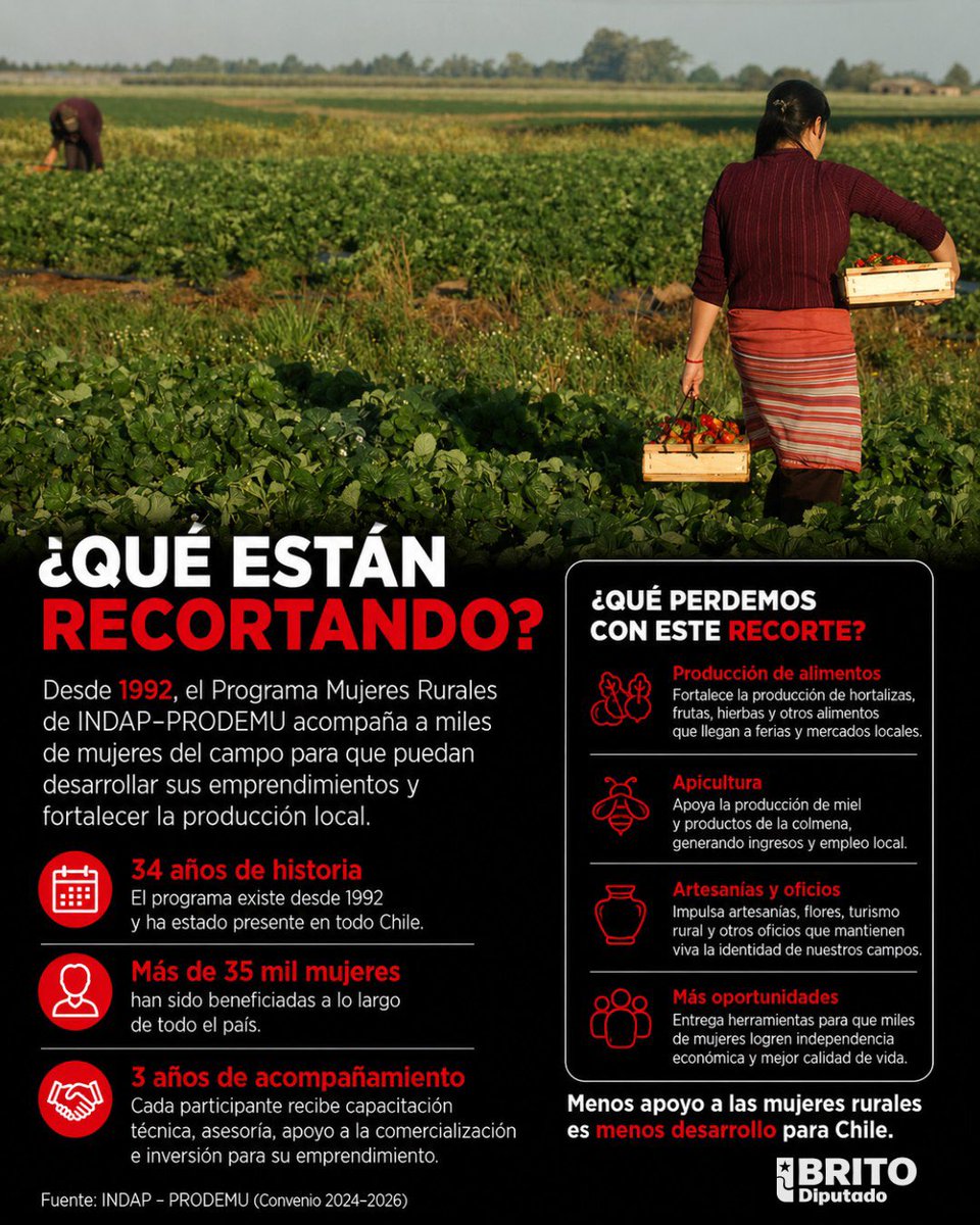 jorbritoh's tweet photo. Kast ganó prometiendo apoyar al mundo rural. 

Hoy elimina un programa INDAP que durante 34 años fortaleció a más de 35 mil mujeres campesinas.

No era burocracia. Era producción, emprendimiento y desarrollo local.

¿Recortes fue el cambio que prometieron a la gente? https://t.co/W9fDpzMucz