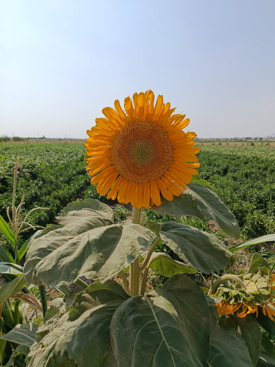 ekhlas37's tweet photo. تقدیم به دوستان خوبم آرزوی بهترین ها https://t.co/f2JB5LVRhd