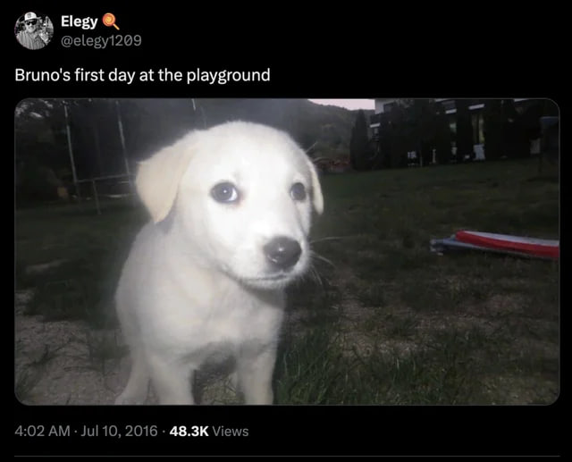 eudaimoniacx's tweet photo. @SolanaDali yes bruno is better theres alos lost media on it https://t.co/sweCwMqq6e