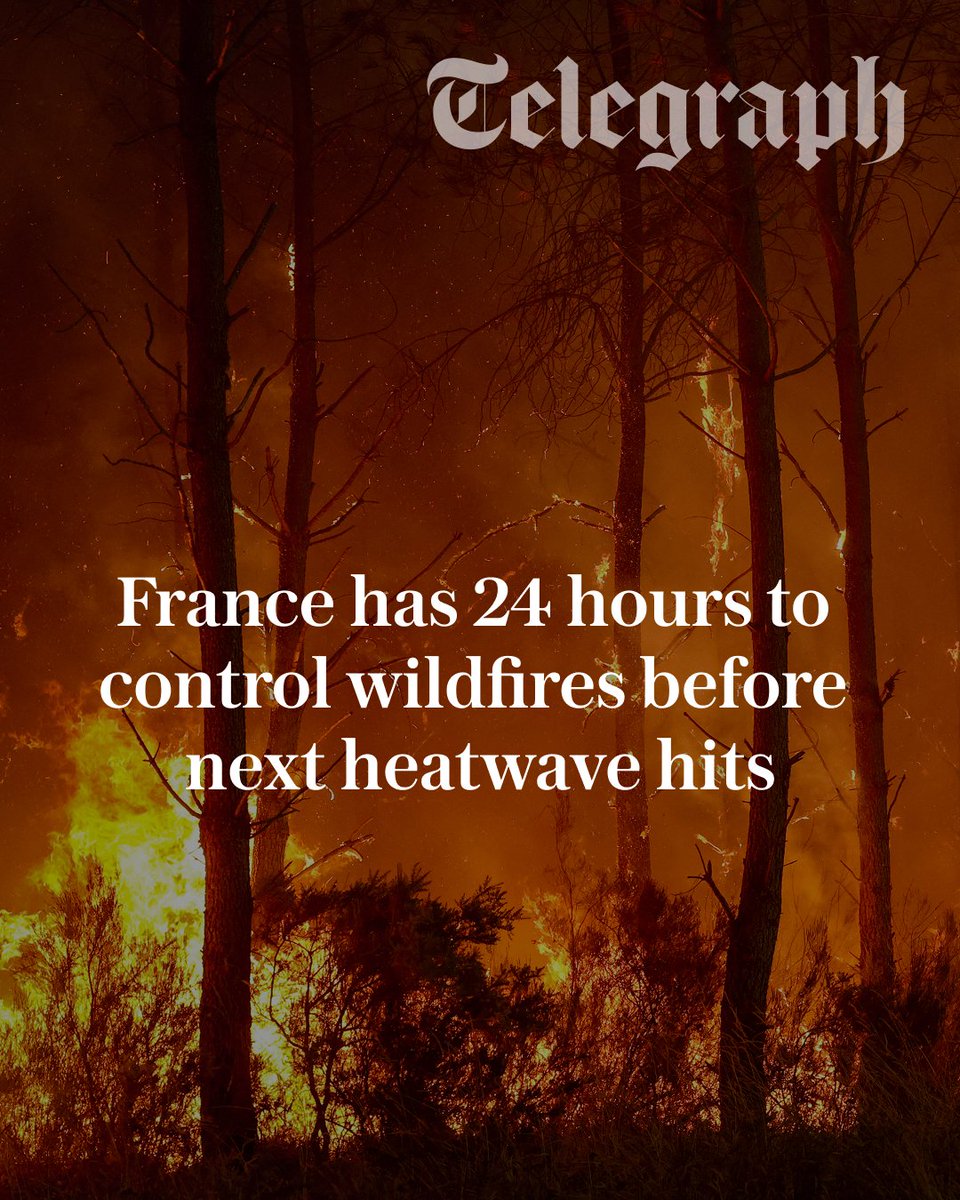 Telegraph tweet picture