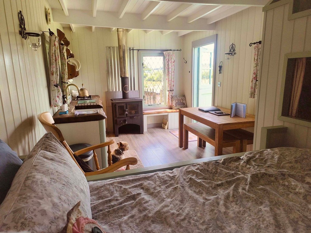 Camping_Direct's tweet photo. 🐷 Farm animals, campfires and nights beneath the stars make Westland Farm near Barnstaple a memorable place to stay in North Devon.

🔗 Find out more about Westland Farm here:
https://t.co/30YTX5jGrS

#northdevon #barnstaple #farmcamping #glamping #visitdevon https://t.co/ruYVUTTzBe