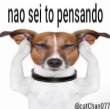 _dualipe's tweet photo. Detesto chegar no trabalho e todo mundo me perguntar um monte de coisas
CALMAAAA EU SOU UM TDAH PÓS FDS PORRA SEGUNDA 9H https://t.co/xRK63Mr0G4