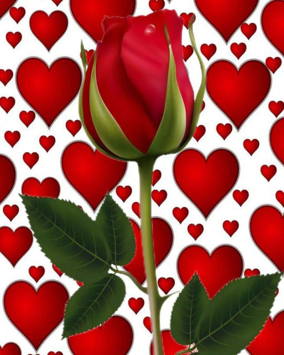 KevinFairh20972's tweet photo. @Jen_Aniston_5 For you love https://t.co/RfN8LHuwXJ