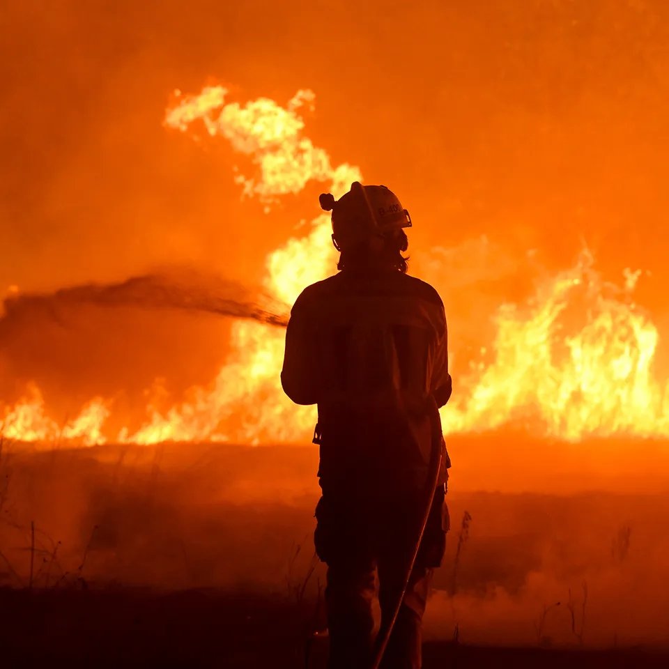 gutterman1864's tweet photo. No hay como crear unos incendios para dejar de hablar de la corrupción del gobierno.. ya no se habla de ZP ni de la Bego.
#PsoeOrganizaciónCriminal
#ZpAPrision https://t.co/2NPTUiNbTC