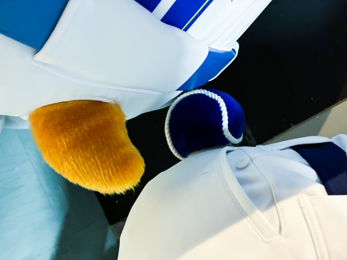 ydb_yokohama's tweet photo. 【マイナビオールスターゲーム THE FESTIVAL 2026 in TOKYO】

可愛い尻尾🫶
誰の尻尾かわかるかな？

#THEFESTIVAL 
#baystars https://t.co/JmFRoMKPZ1