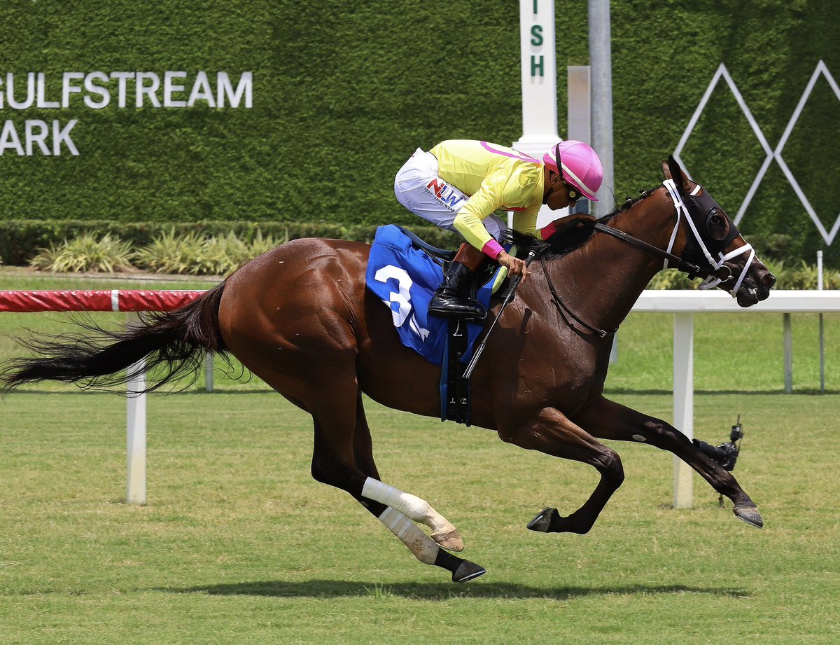 JFDAngelo's tweet photo. Severely Overpayin • Jose Gregorio Torrealba • Jose Francisco D’Angelo 

#GulfstreamPark | #RoyalPalmMeet | #HorseRacing https://t.co/Ro0W10d12D