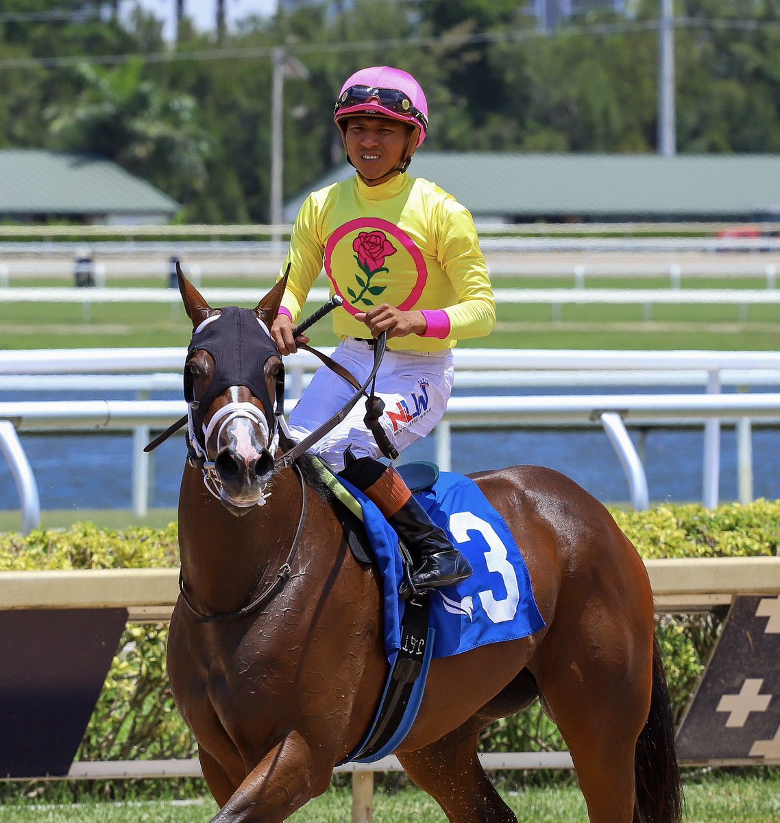 JFDAngelo's tweet photo. Severely Overpayin • Jose Gregorio Torrealba • Jose Francisco D’Angelo 

#GulfstreamPark | #RoyalPalmMeet | #HorseRacing https://t.co/Ro0W10d12D