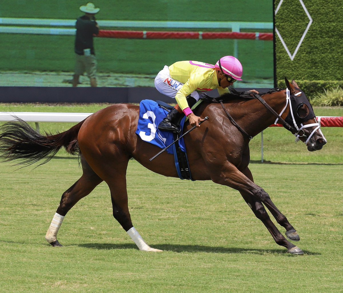 JFDAngelo's tweet photo. Severely Overpayin • Jose Gregorio Torrealba • Jose Francisco D’Angelo 

#GulfstreamPark | #RoyalPalmMeet | #HorseRacing https://t.co/Ro0W10d12D