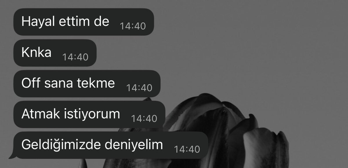 seherrozcelik's tweet photo. Benim için canını bile verir dediğim dostlarımın talepler https://t.co/pPOpRmbTy4