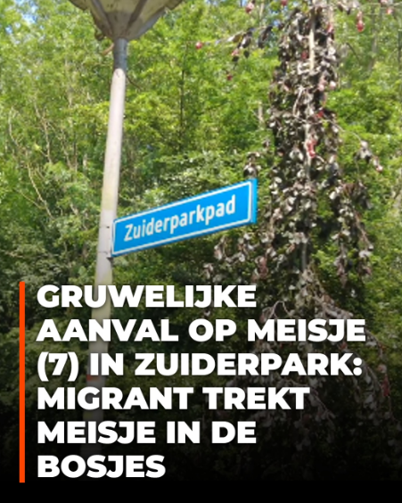Symphony_res's tweet photo. Van kikkers zoeken naar levenslang trauma: OM eist 5 jaar cel en tbs na de brute aanval op een meisje van 7 in Rotterdam 💔 https://t.co/DCSG5bh4Hk